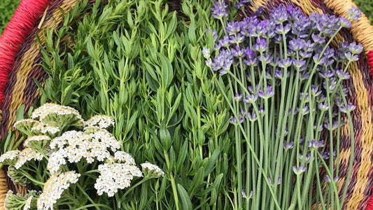 Botanicals remind us about the little ways we care for ourselves and each other