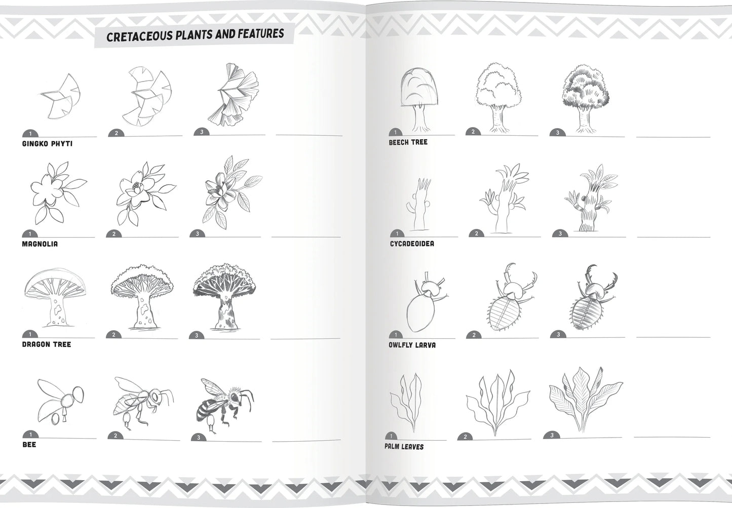 Learn to Draw Books