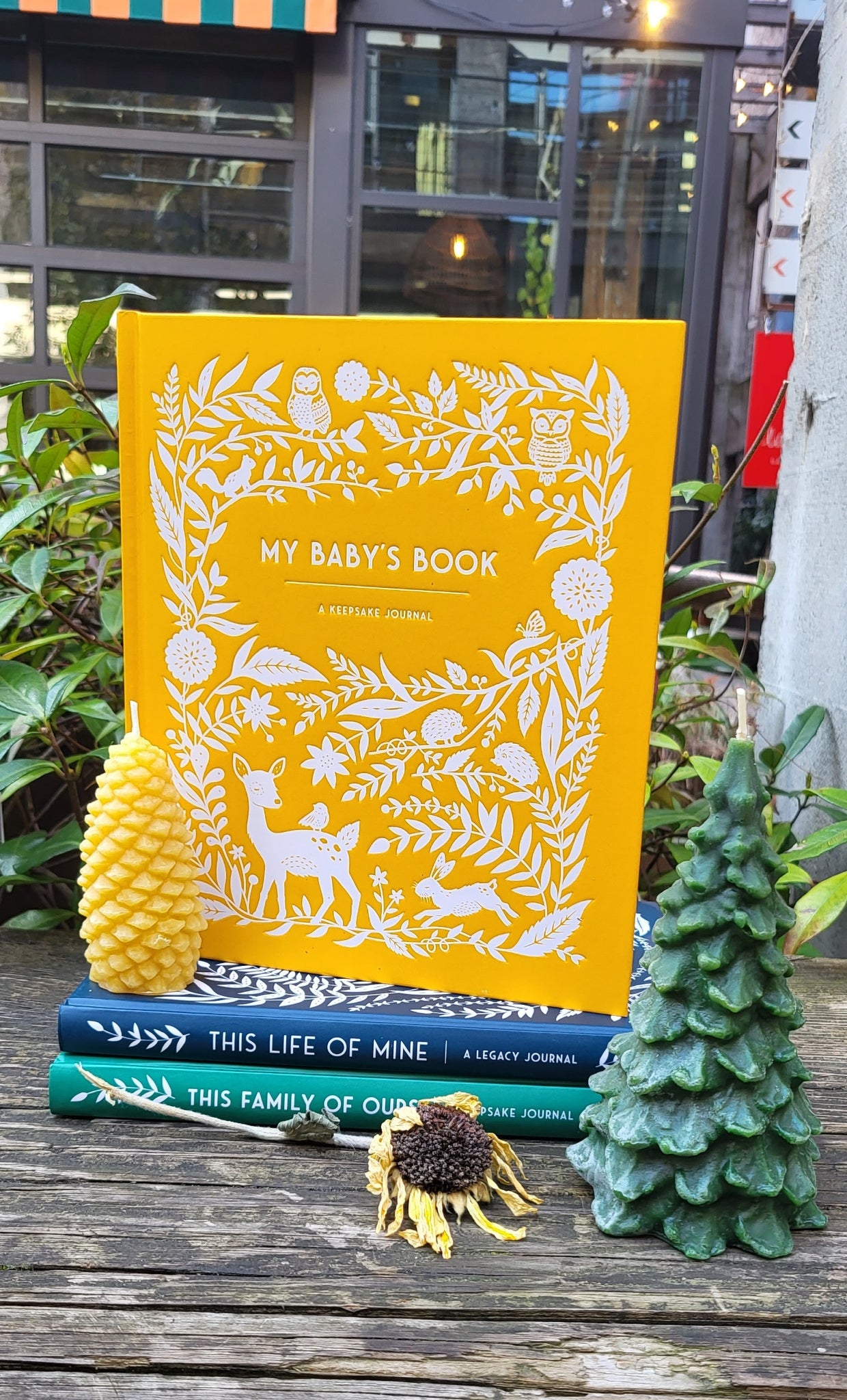 My Baby’s Book – Bootyland Kids