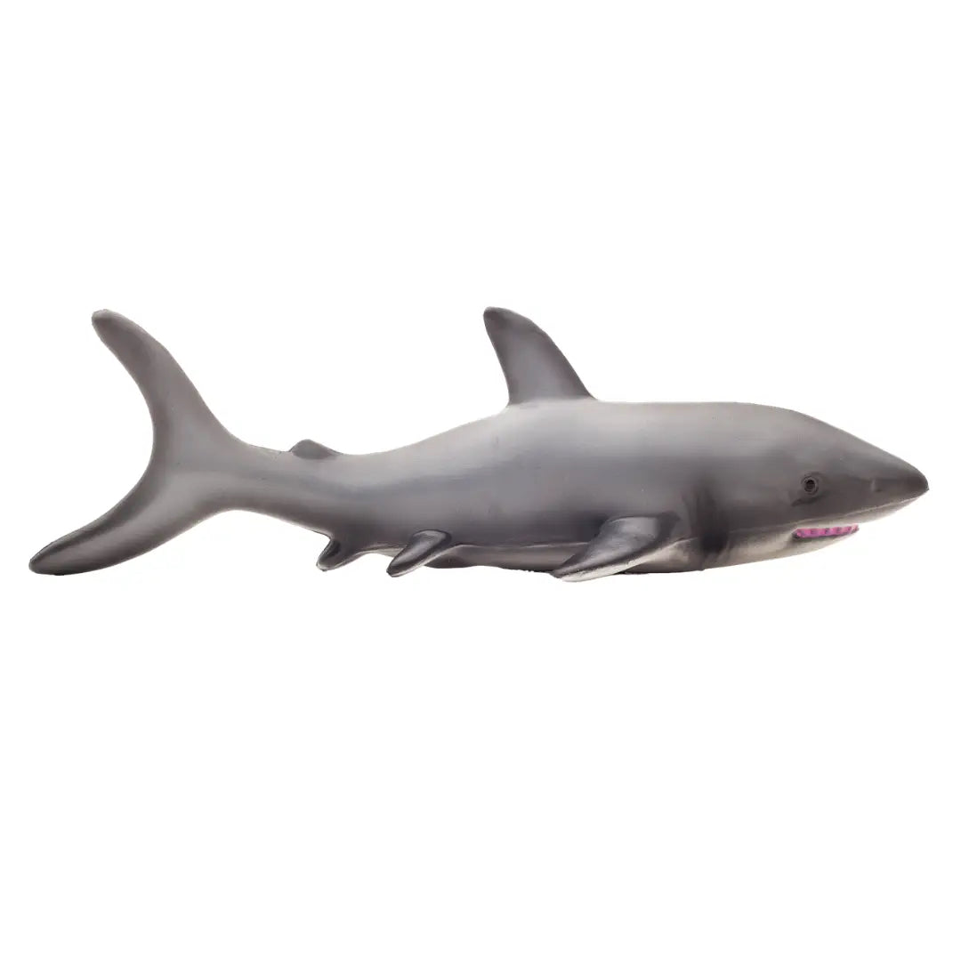 Natural Rubber shark
