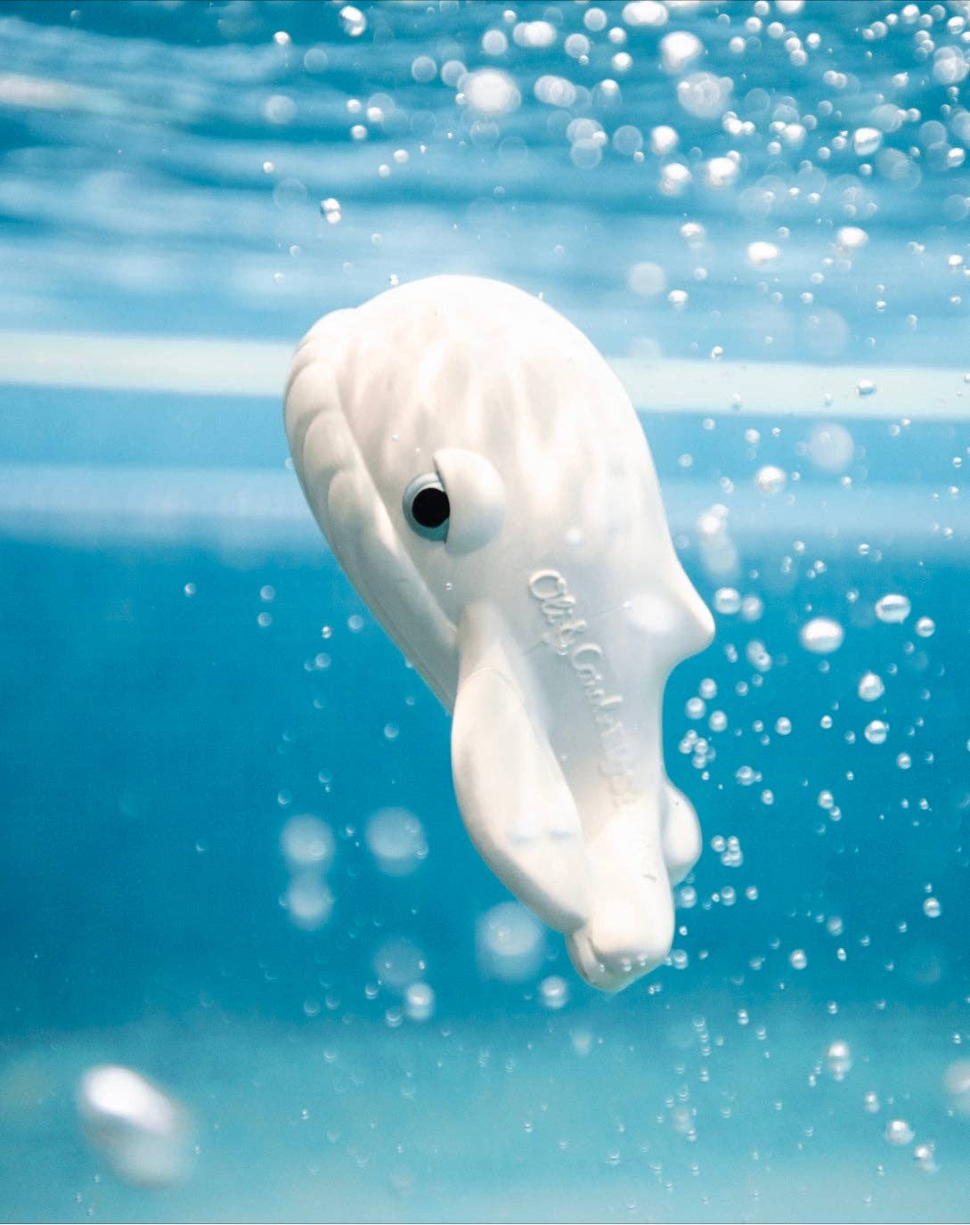 a natural rubber whale toy floating underwater