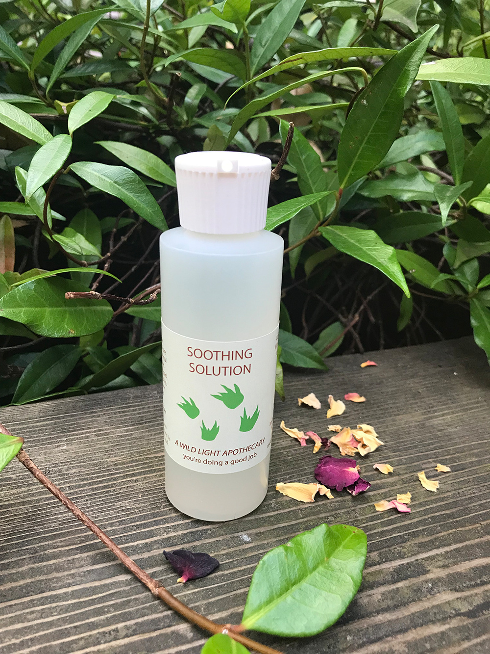 Soothing aloe solution By a Wild Light Apothecary