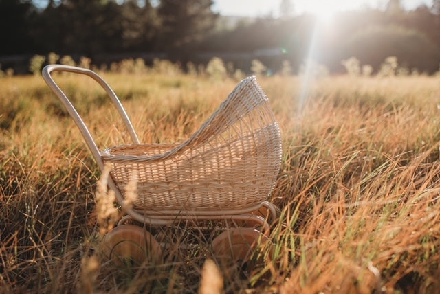 Poppie Rattan Doll Pram in a sunny grassy field