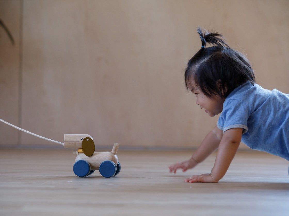 baby crawling on the floor chasing Push & Pull Puppy