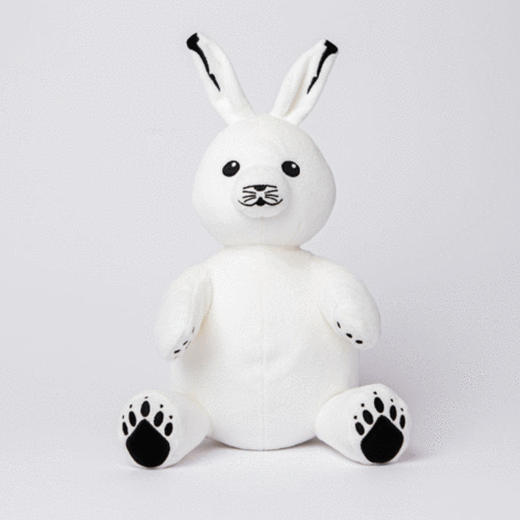Annik the Arctic Hare