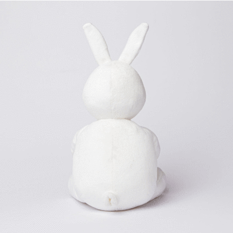 Annik the Arctic Hare back