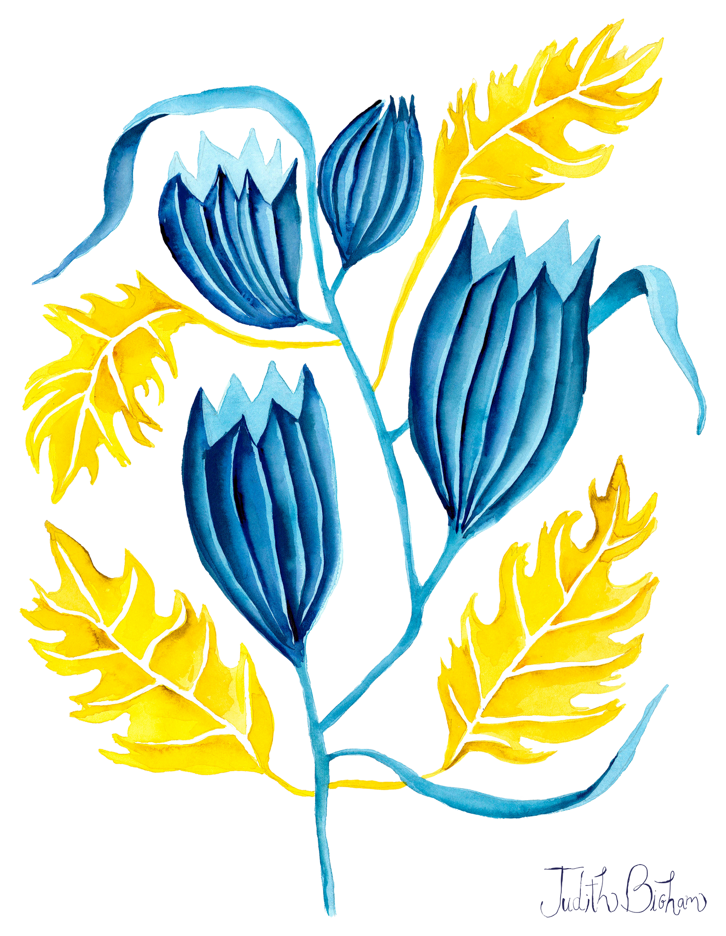Long Sleeve Organic Autumn Bluebell
