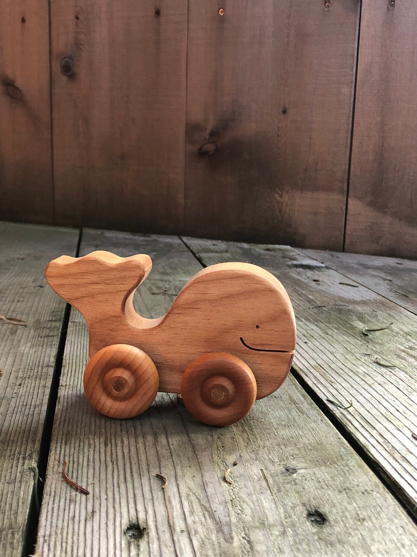 Baby's Rollie Whale