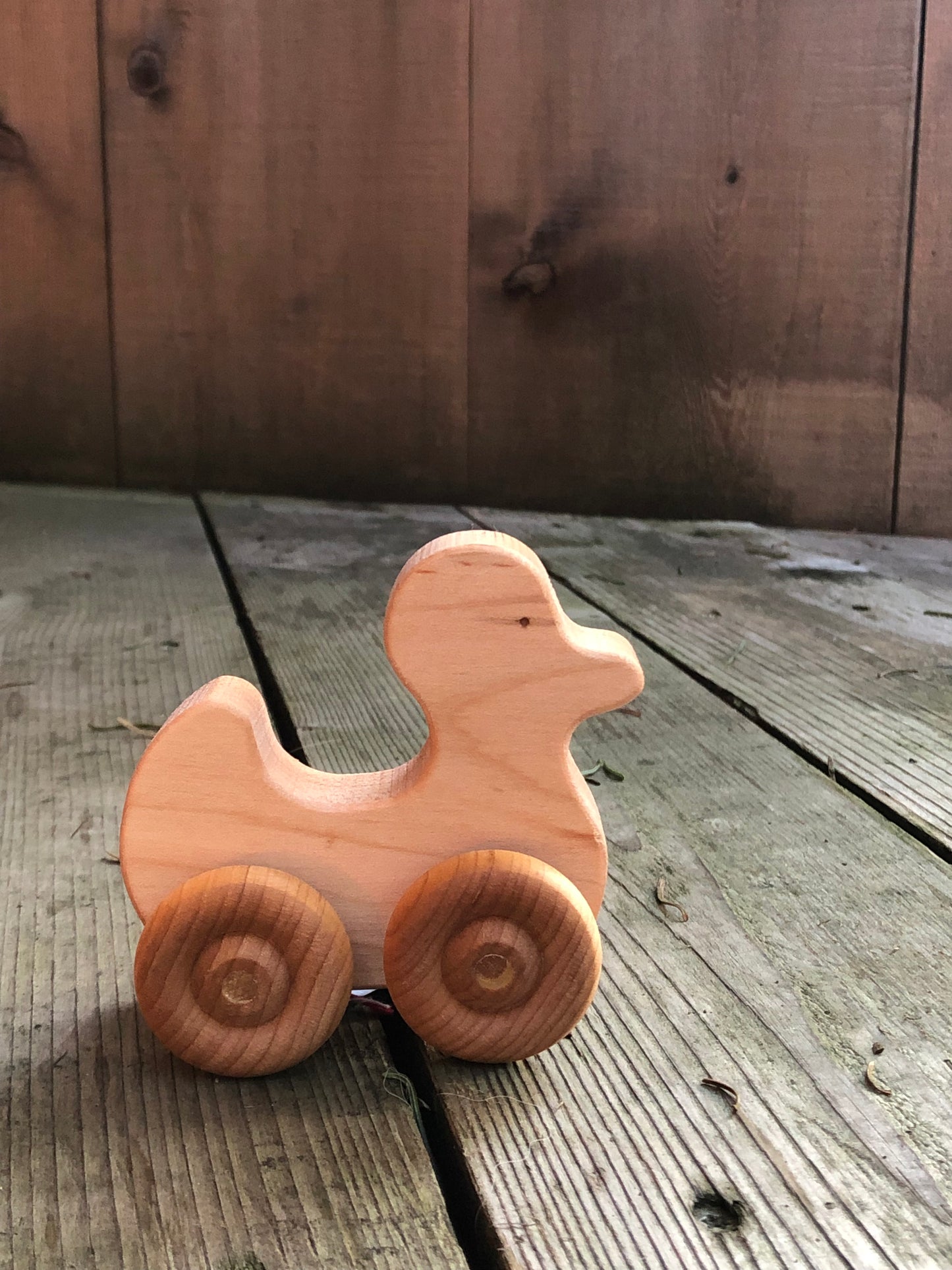 Baby's Rollie Duck