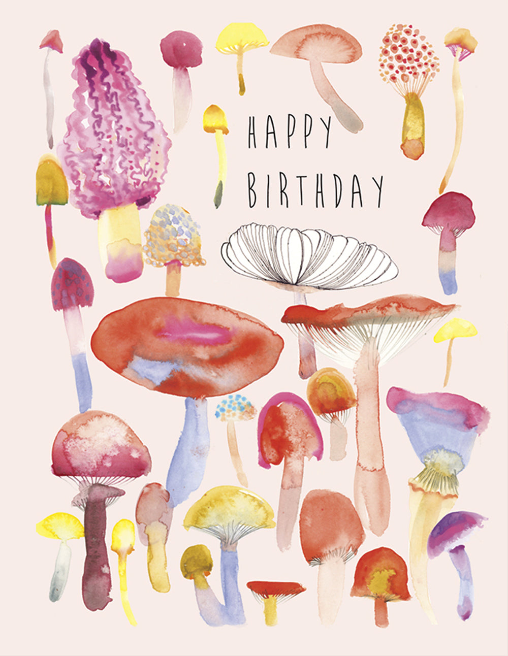 Mushroom Bday