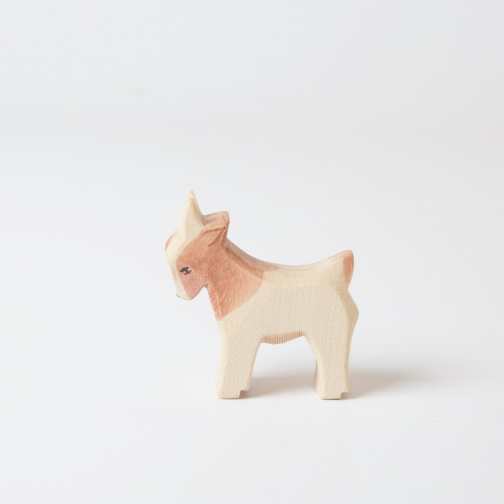 kid Goat Standing