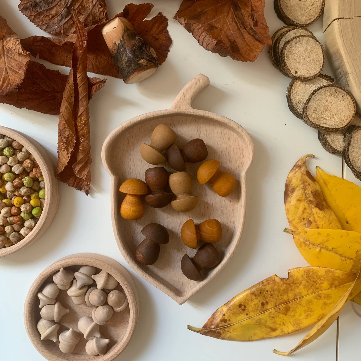 Acorn Sorting Tray with Grapat mushroom mandala