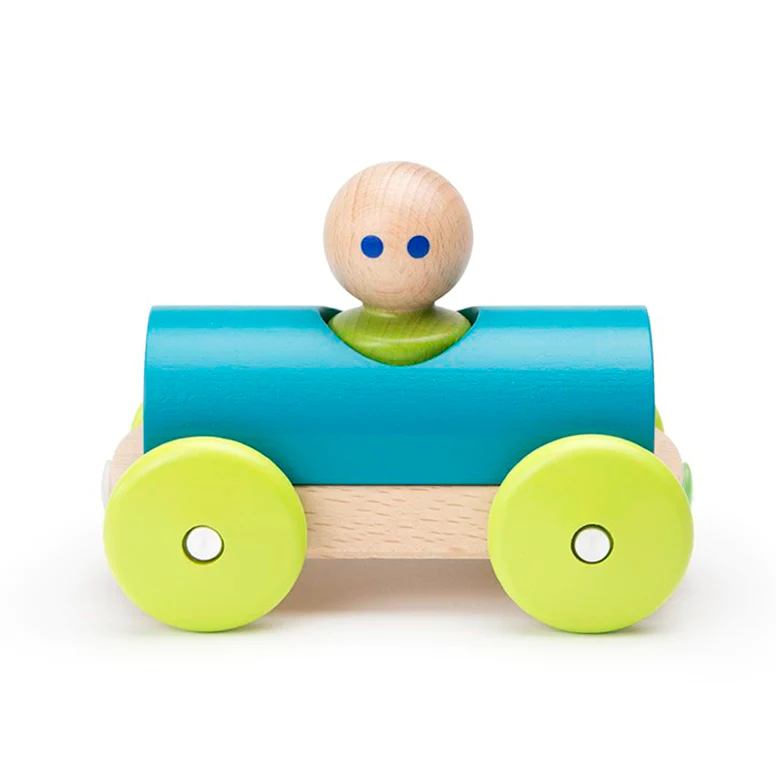 tegu blue car