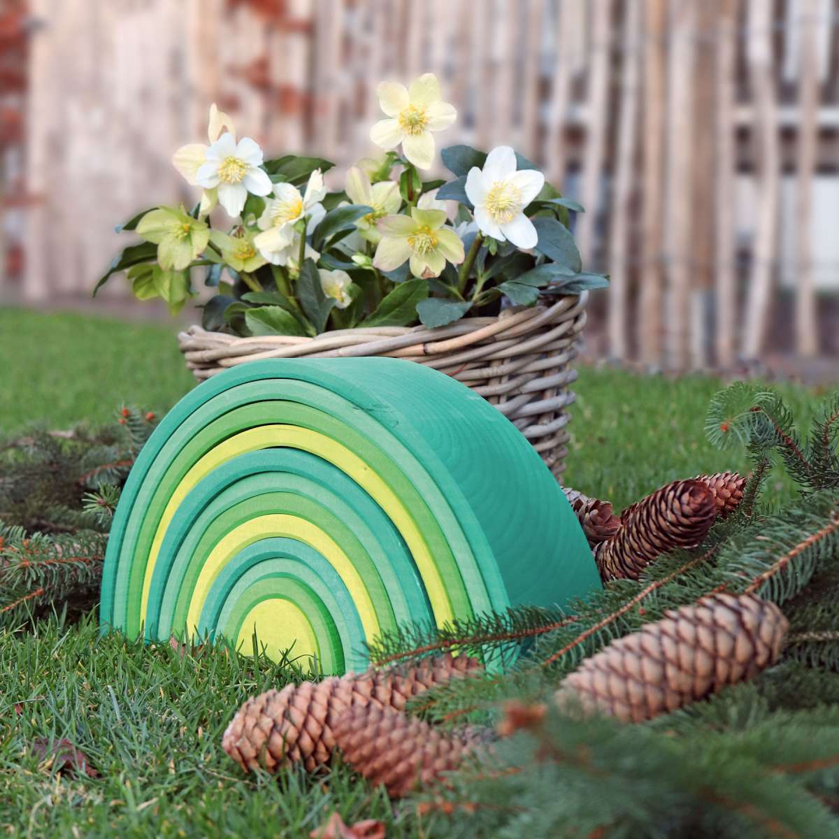 Large Rainbow in Forest Green