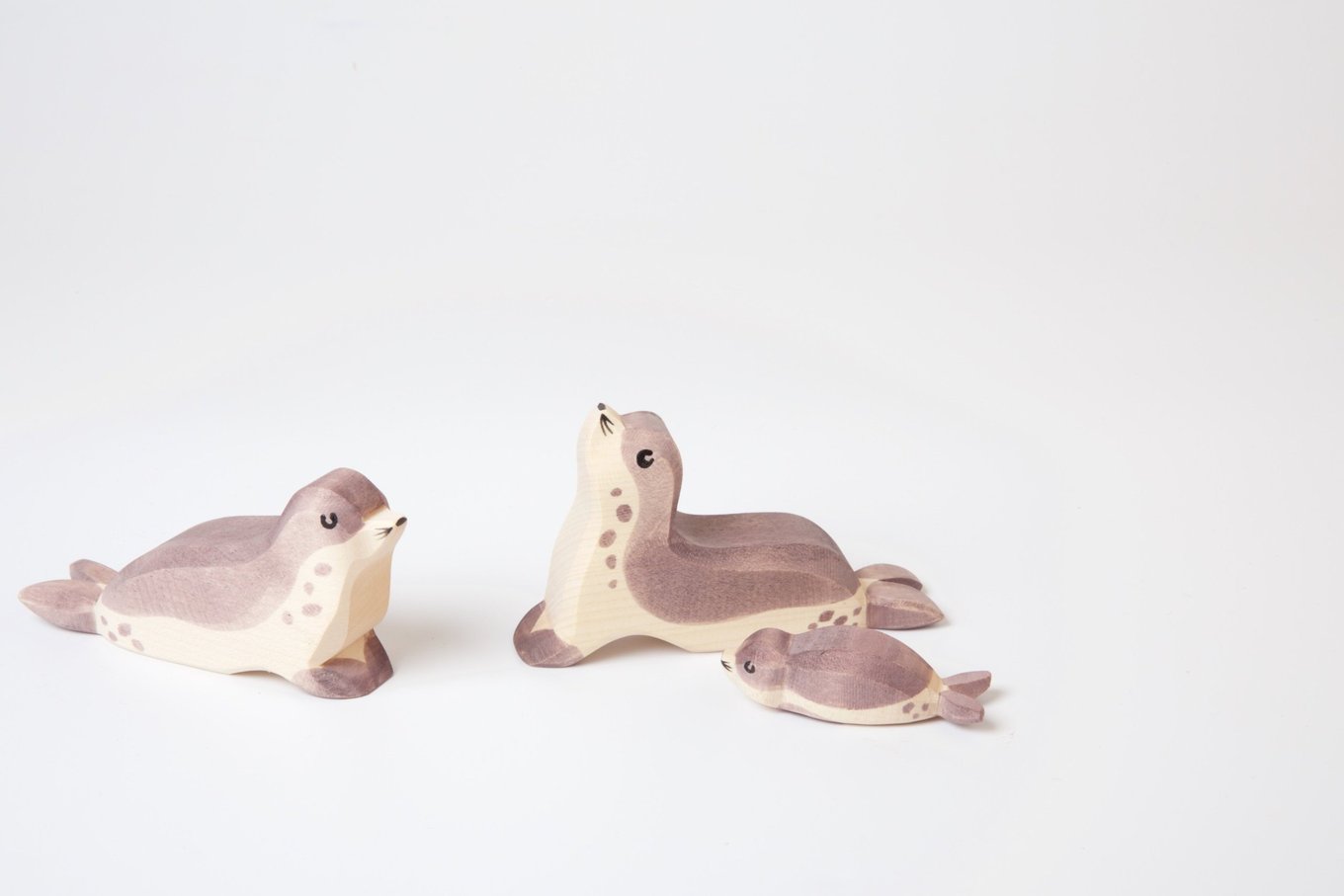 Sea lion family Sea Lion Head Low, sea lion, and sea lion pup all by ostheimer