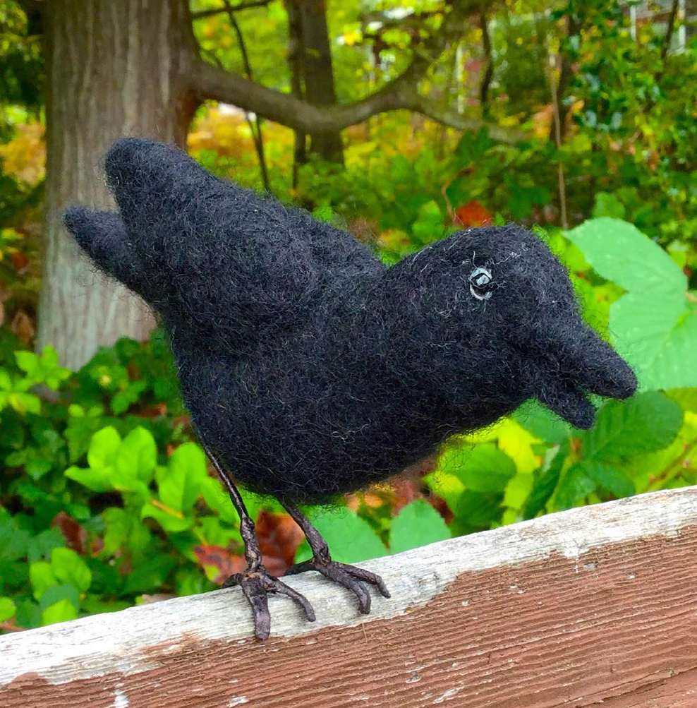 Raven Needle Felting Kit