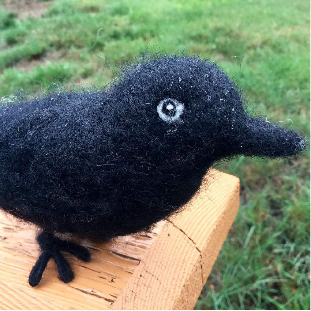 Raven Felting Kit