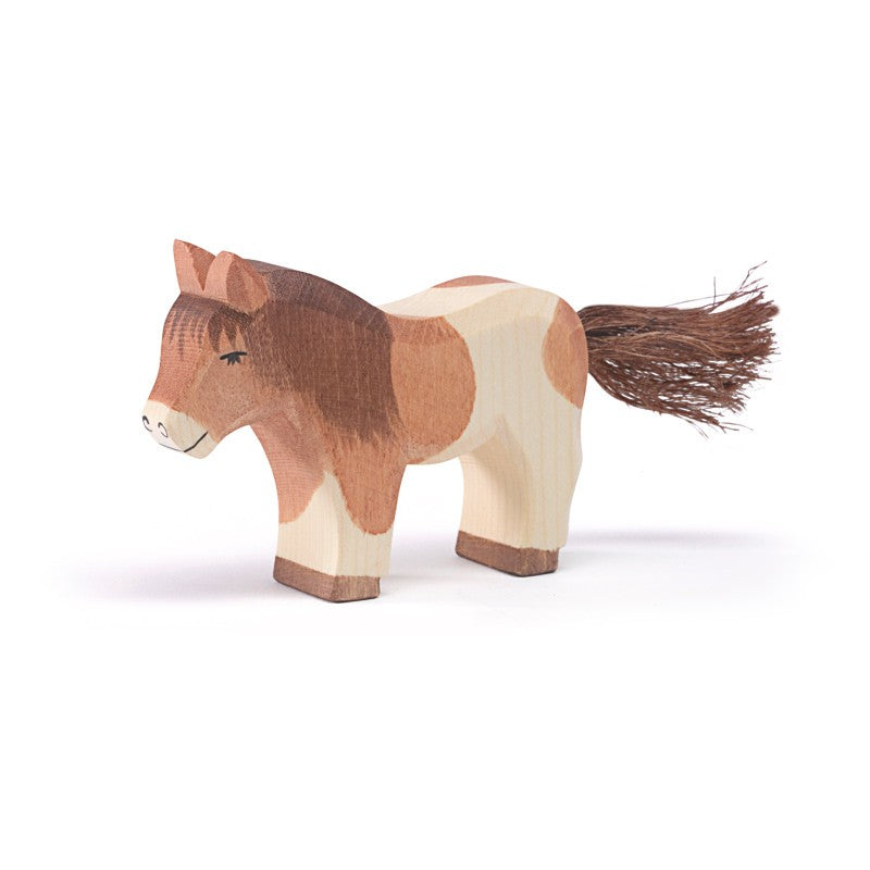 Ostheimer shetland pony standing