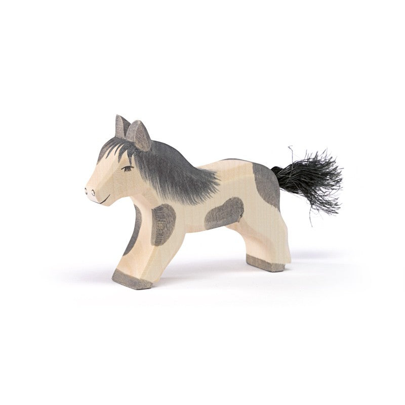 Ostheimer shetland pony running