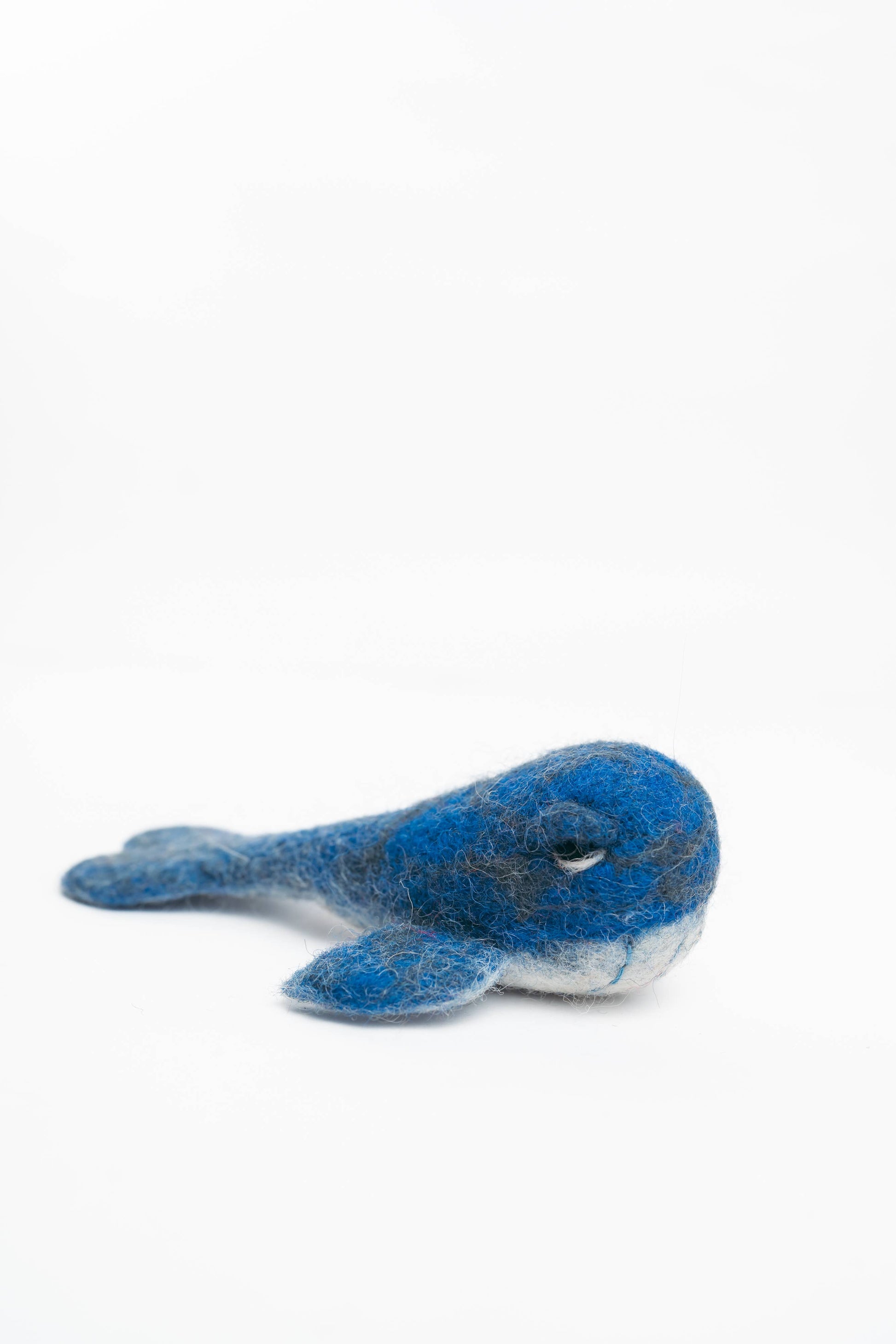 Blue plush toy on a white background