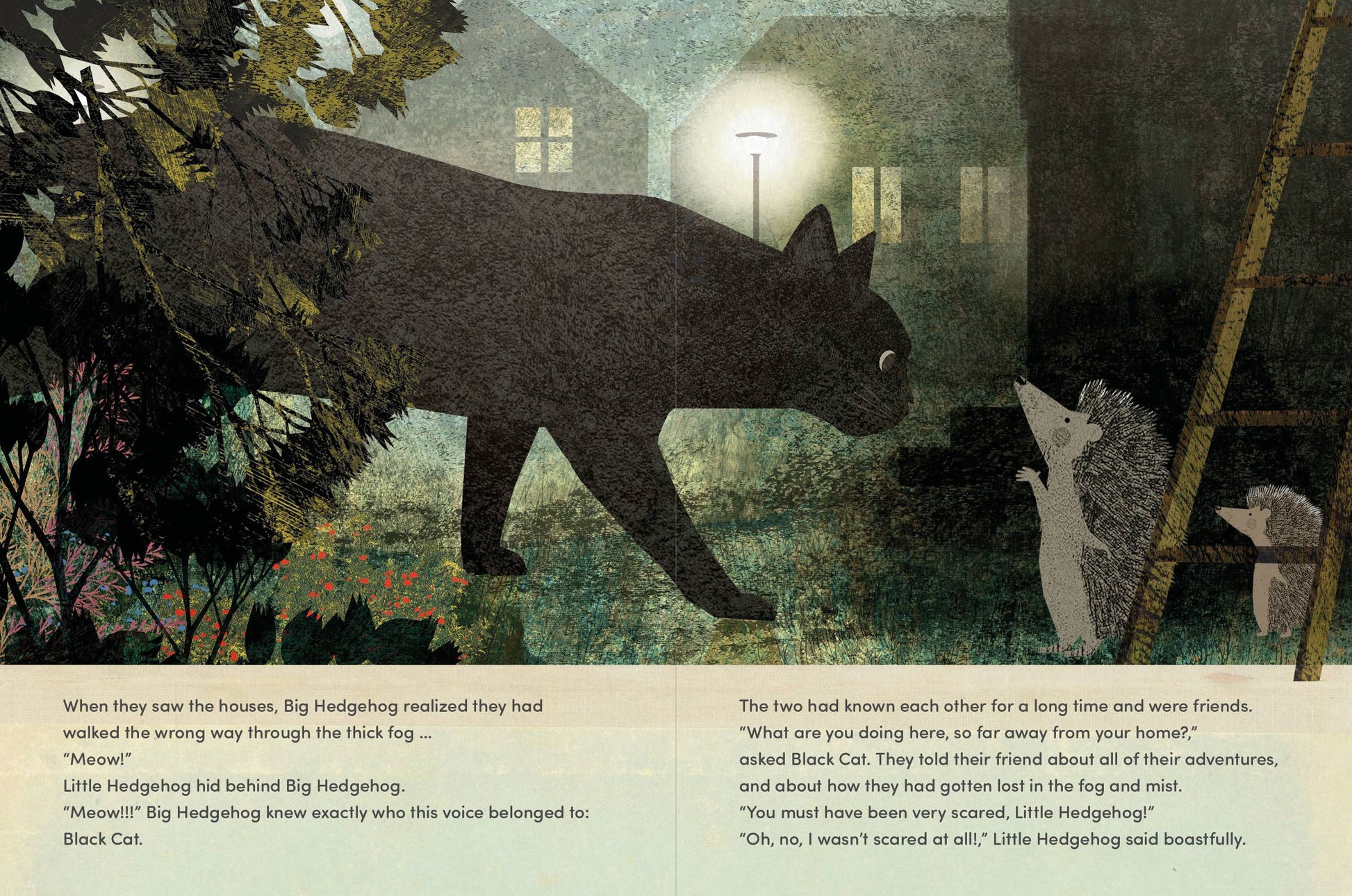 Illustration of a black cat and a hedgehog in a garden at night.