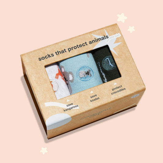 Box of socks with a message about protecting animals on a light pink background