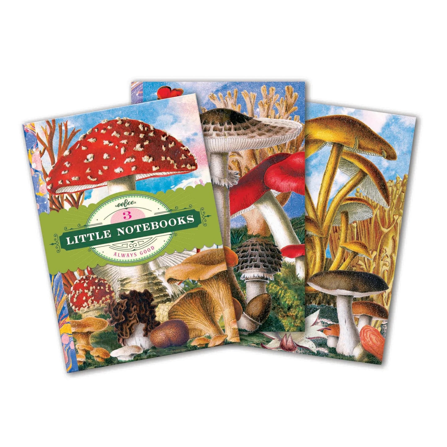 Set of 3 Mushroom Notebooks
