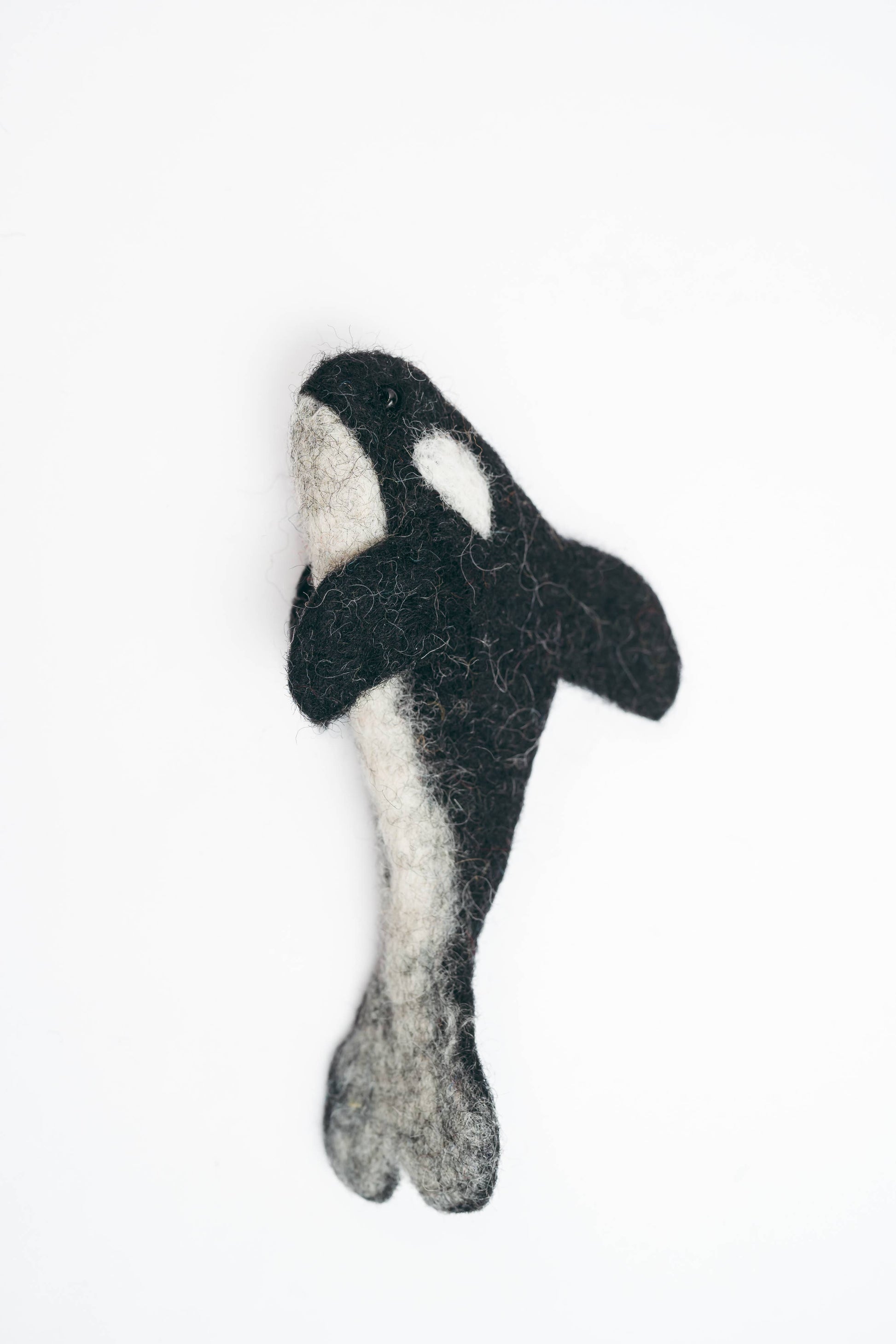 Felted orca whale toy on a white background