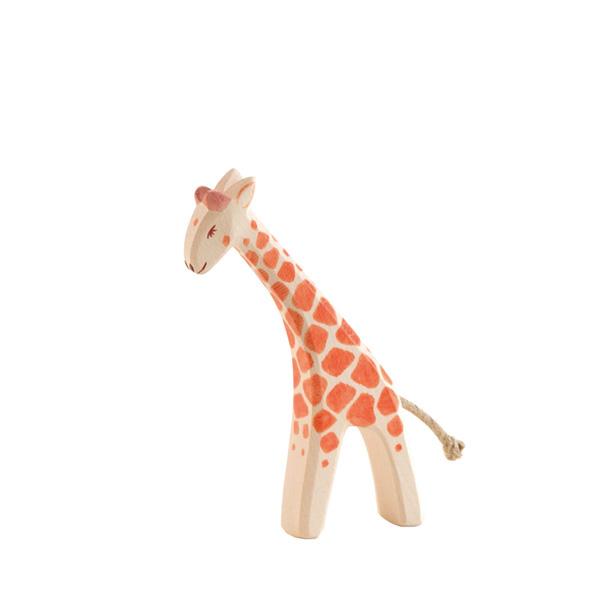 giraffe small head low