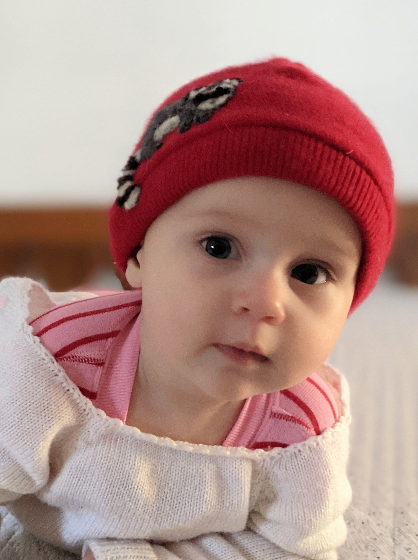 Raccoon Cashmere Baby Hat