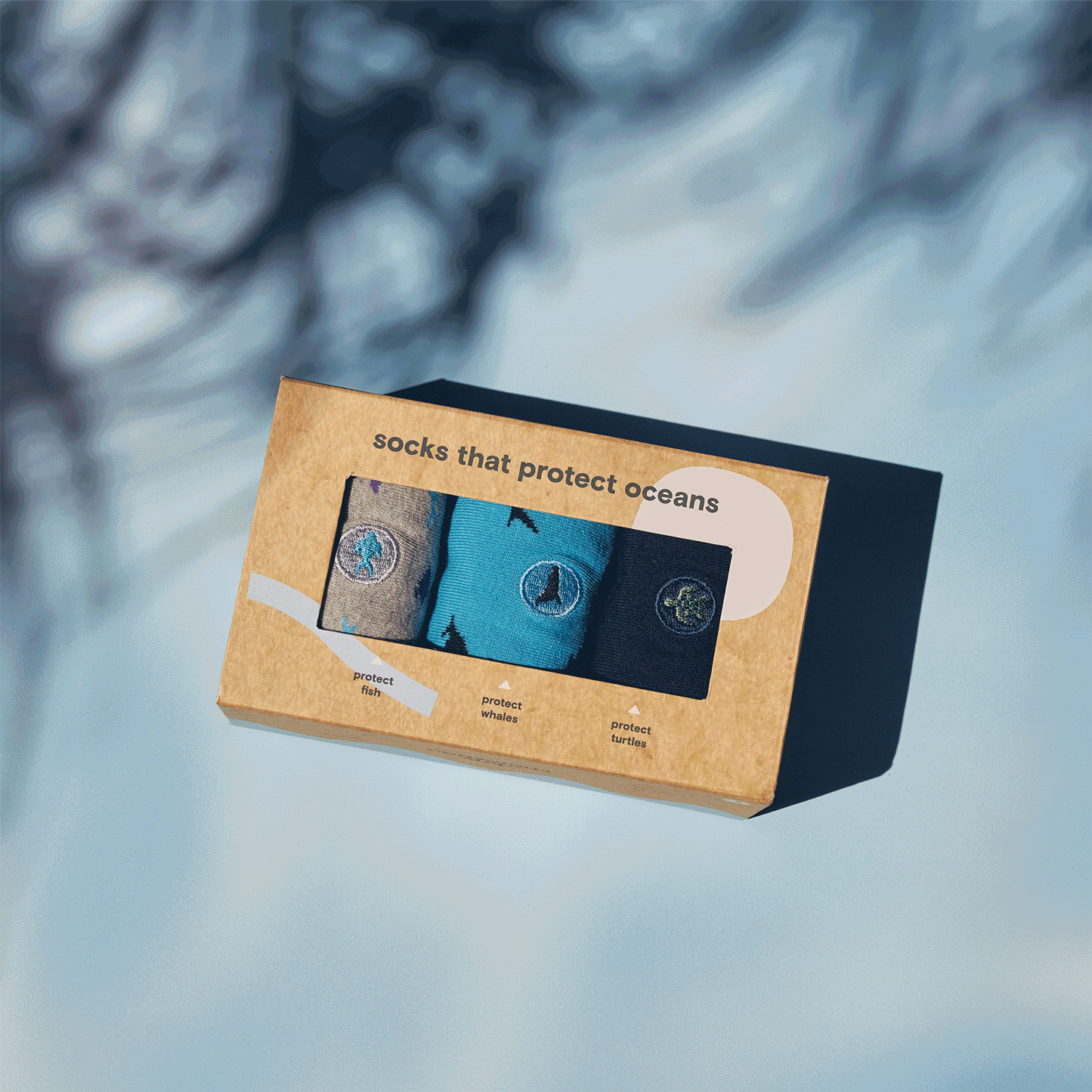 Protect Oceans Gift Box with a tree moving in the background