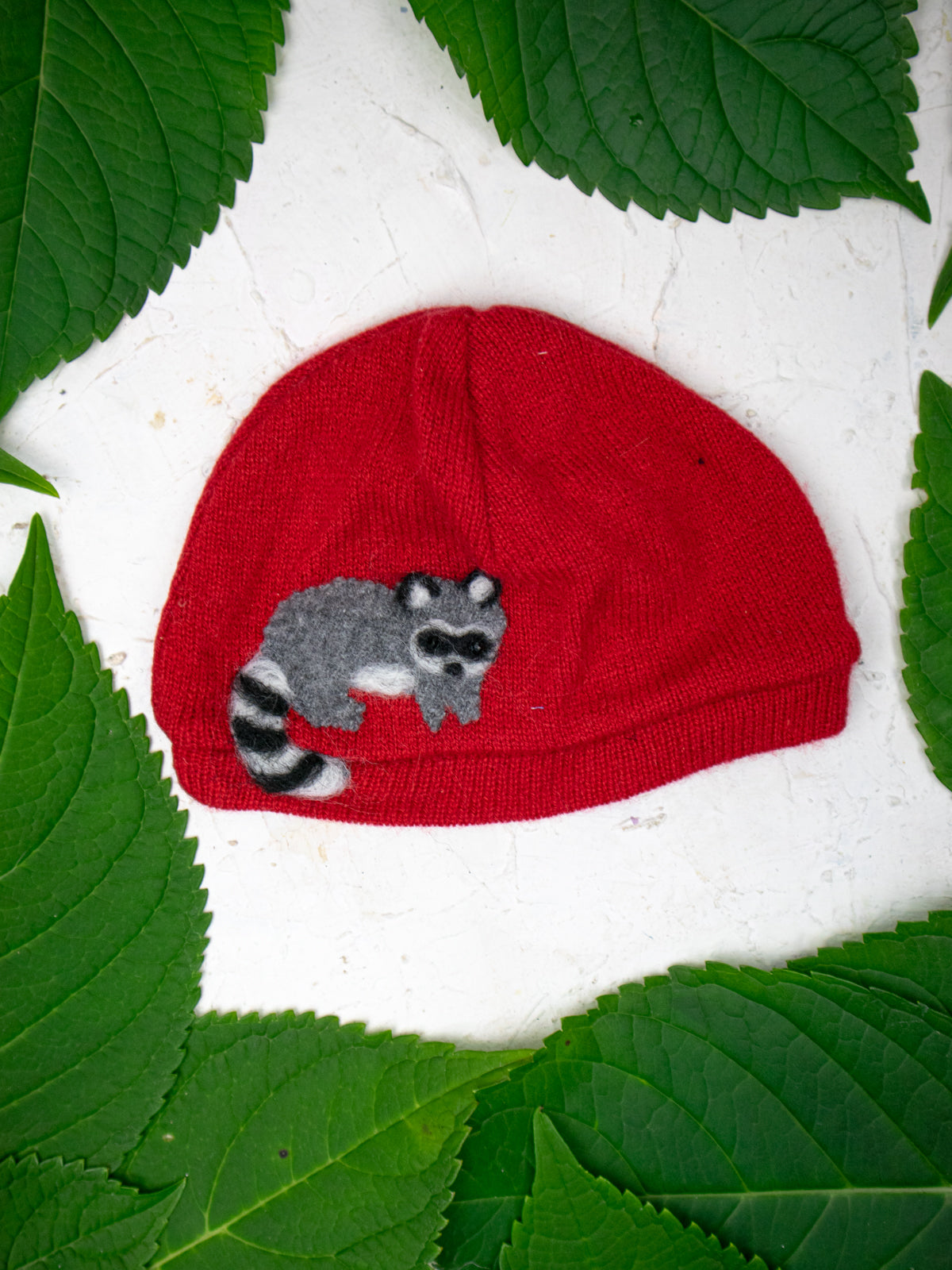 Raccoon Cashmere Baby Hat