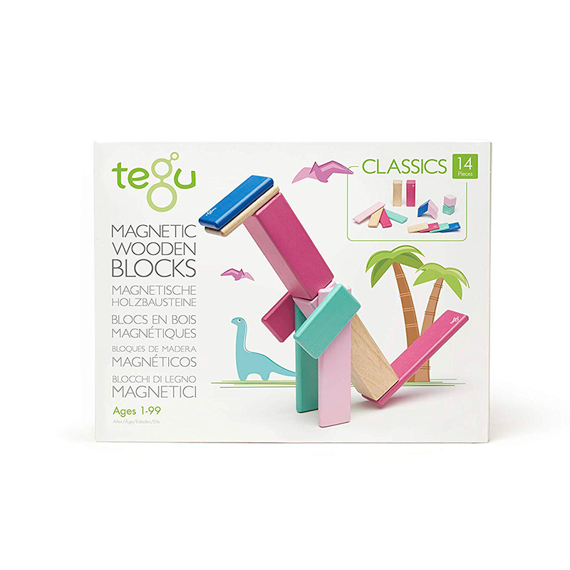Tegu magnetic wooden blocks packaging with colorful blocks on a white background