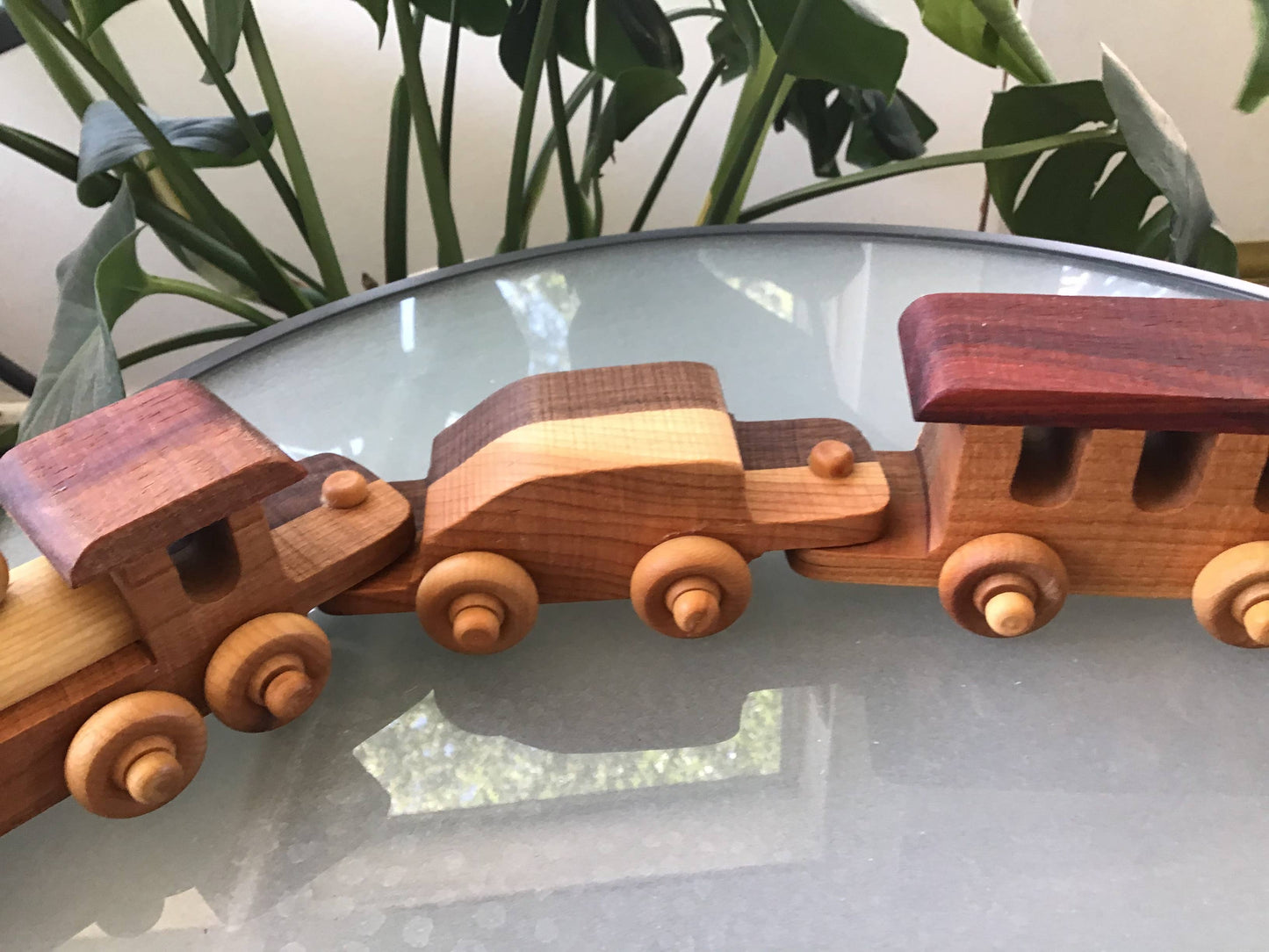 Wooden toy train on a reflective surface with plants in the background