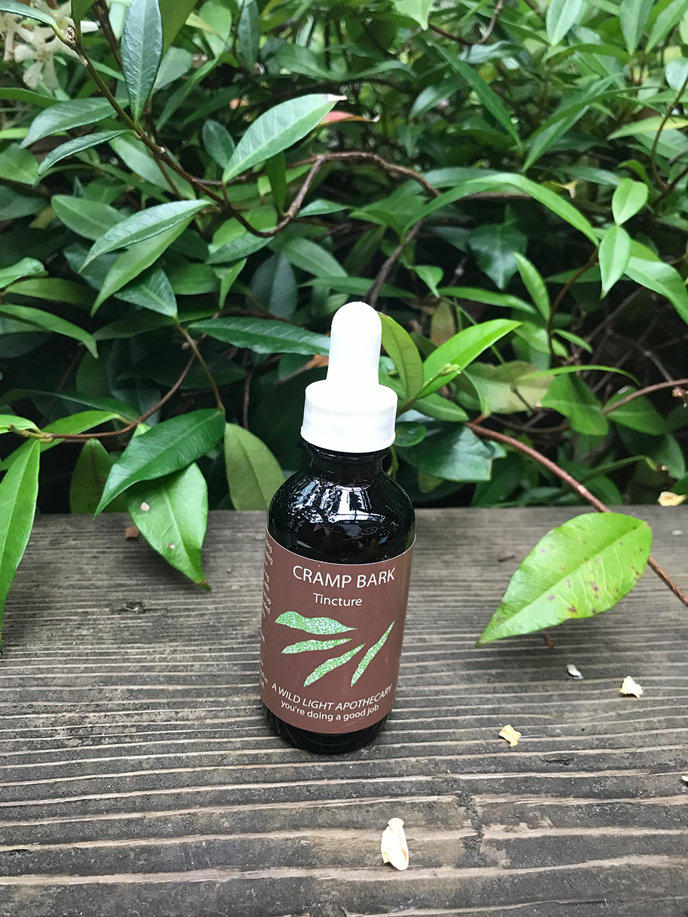 Cramp Bark Tincture by a Wild Light Apothecary