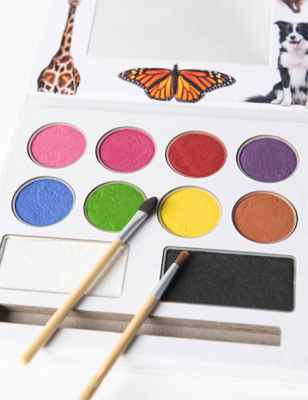 face paint palette