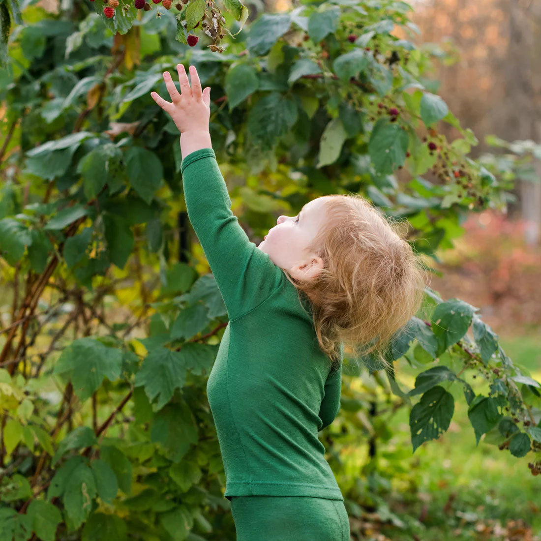 Child reaching for black berries wearing a green long sleeve slik and wool shirt