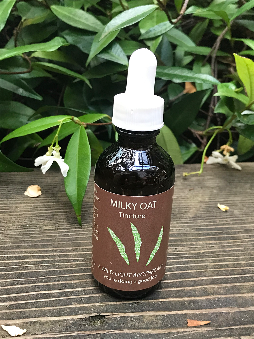 Milky Oat by a Wild Light Apothecary