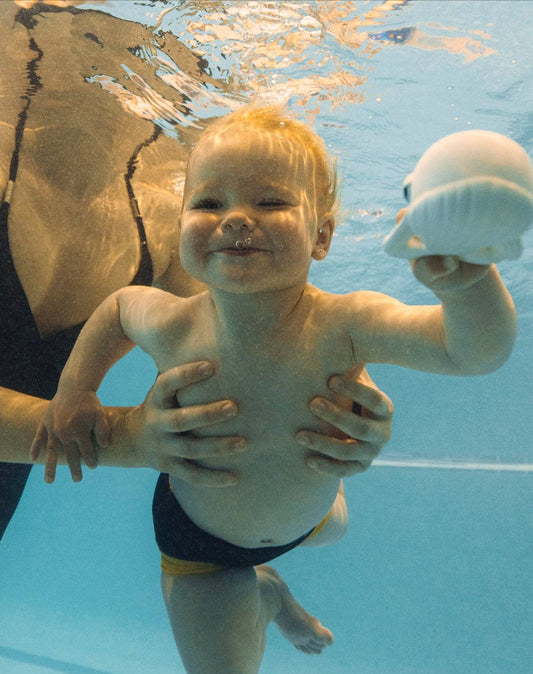an adult holding a toddler swimming underwater while holding. a natural rubber Walter the whale toy