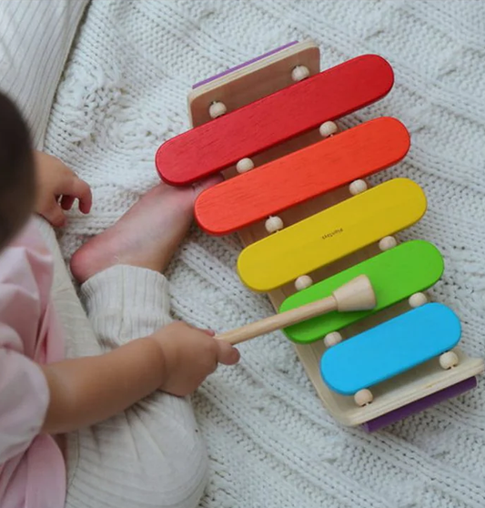 Oval Xylophone Rainbow by plant toys