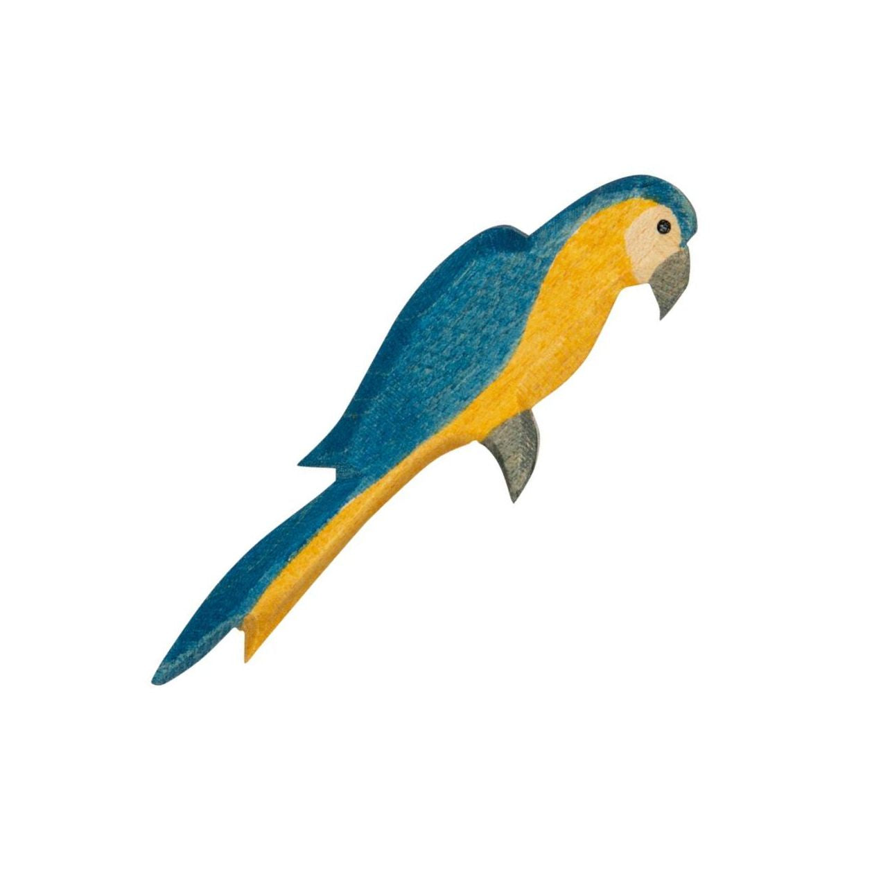 Ostheimer blue parrot