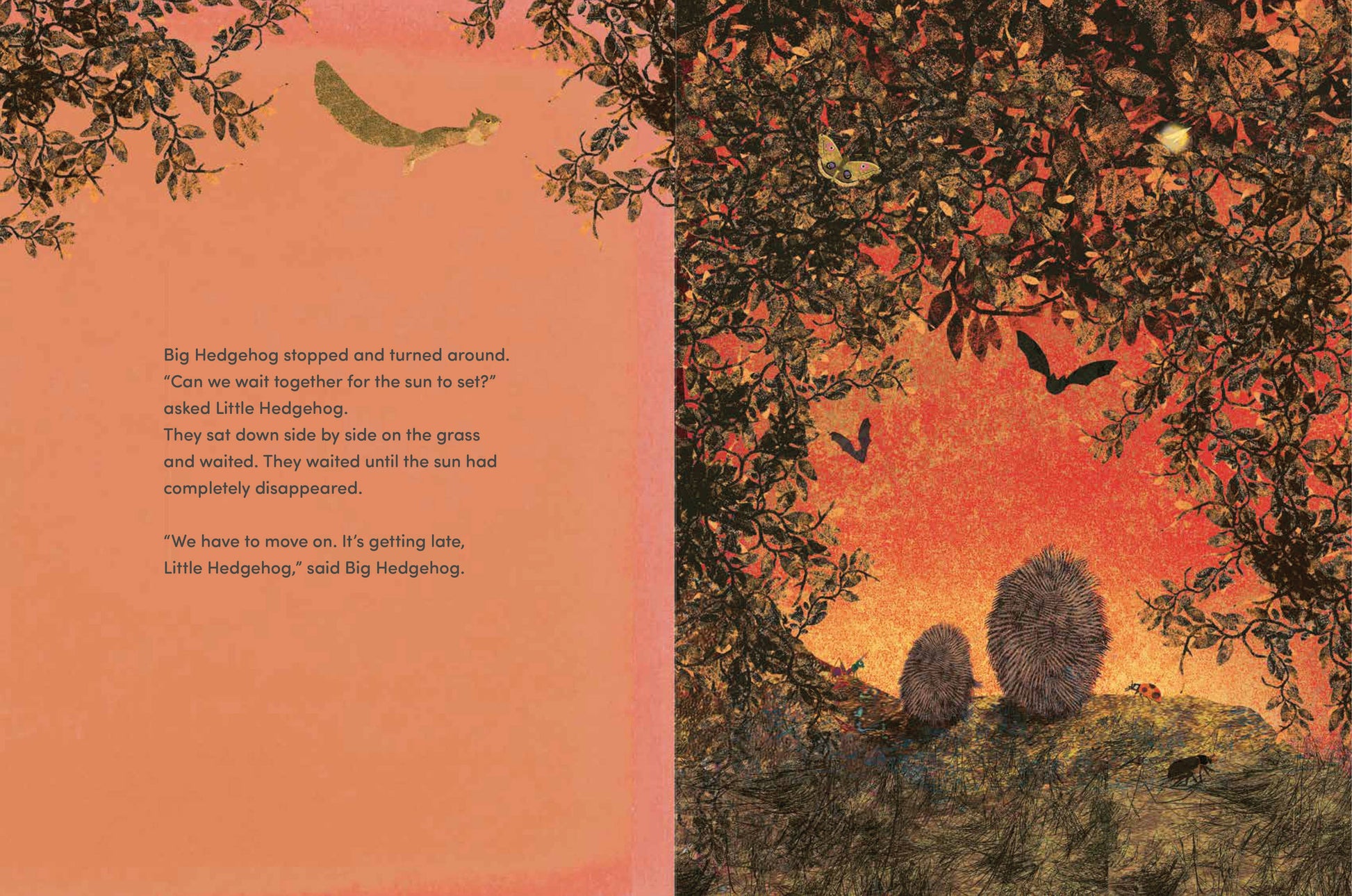 a page from the book big hedgehog and little hedgehog take an evening stroll
