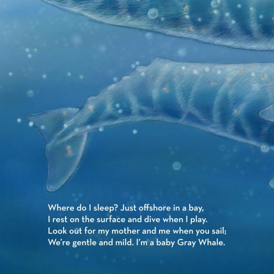 A page from inside the book Where Do I Sleep?