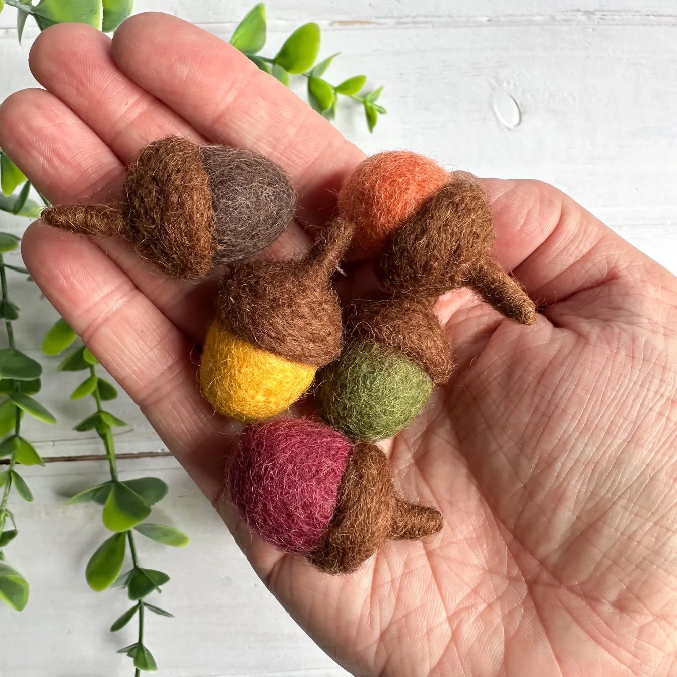 hand holding five felt acorns in all colors