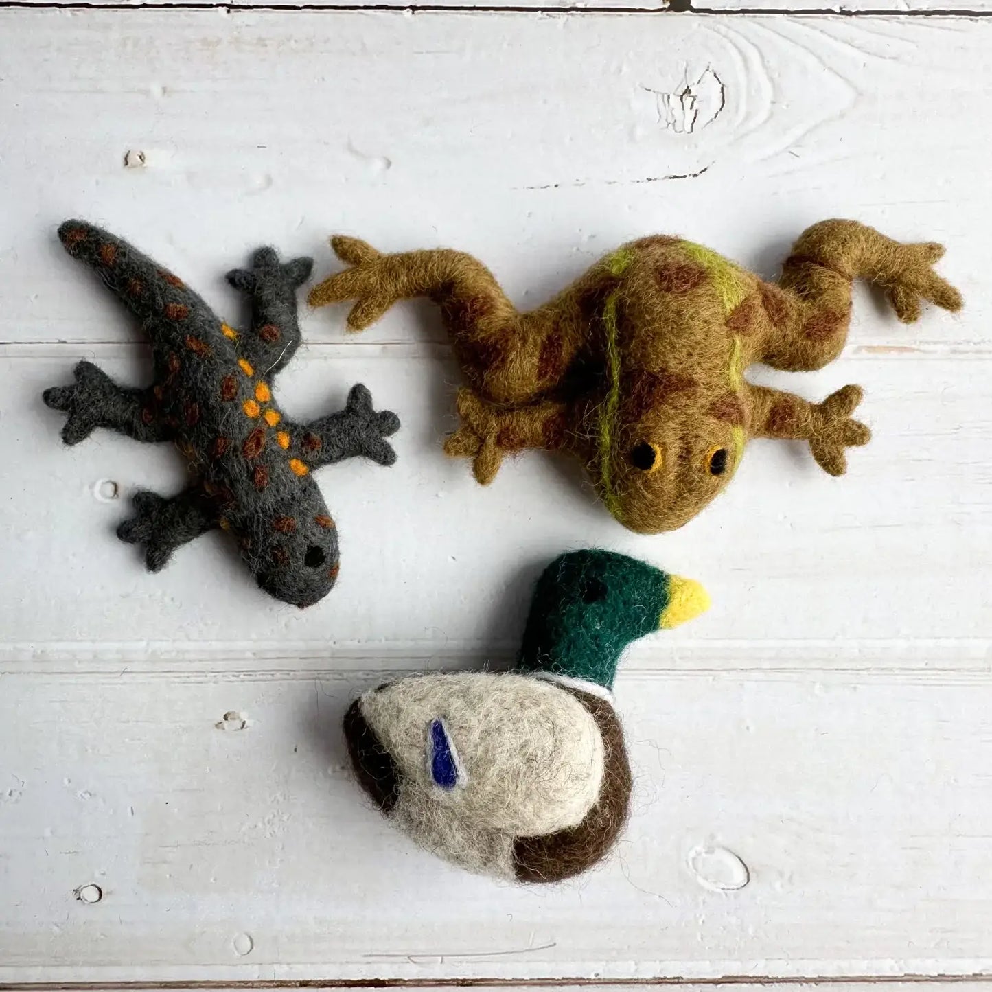 Set of felt pond friends