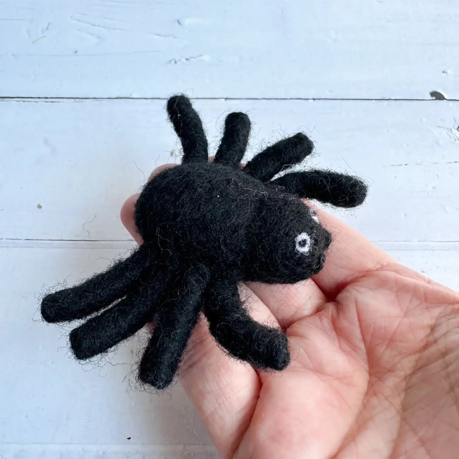 hand holding felt black spider