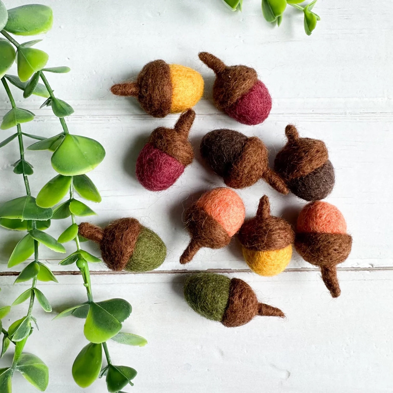 Set of felt acorns in fal colors