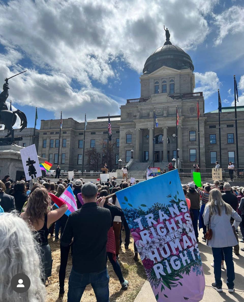 a group of people marching in front of a government building holding signs and pride flags. one person is holding a trans pride flag with a flower print decoration and the words "trans rights are human rights" printed on it
