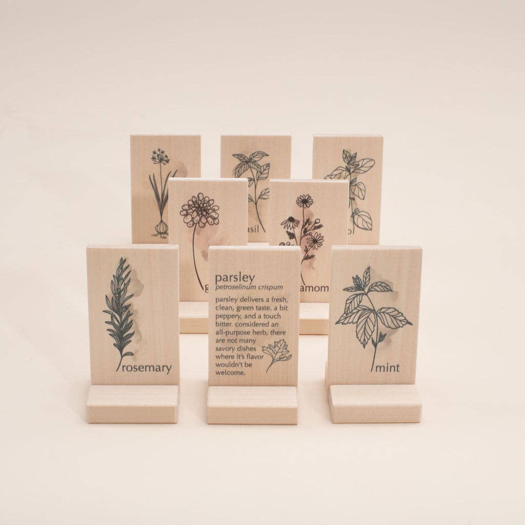 Set of herb learning chips on stands with illustrations and text on a beige background
