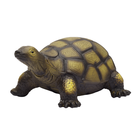 Natural rubber tortoise